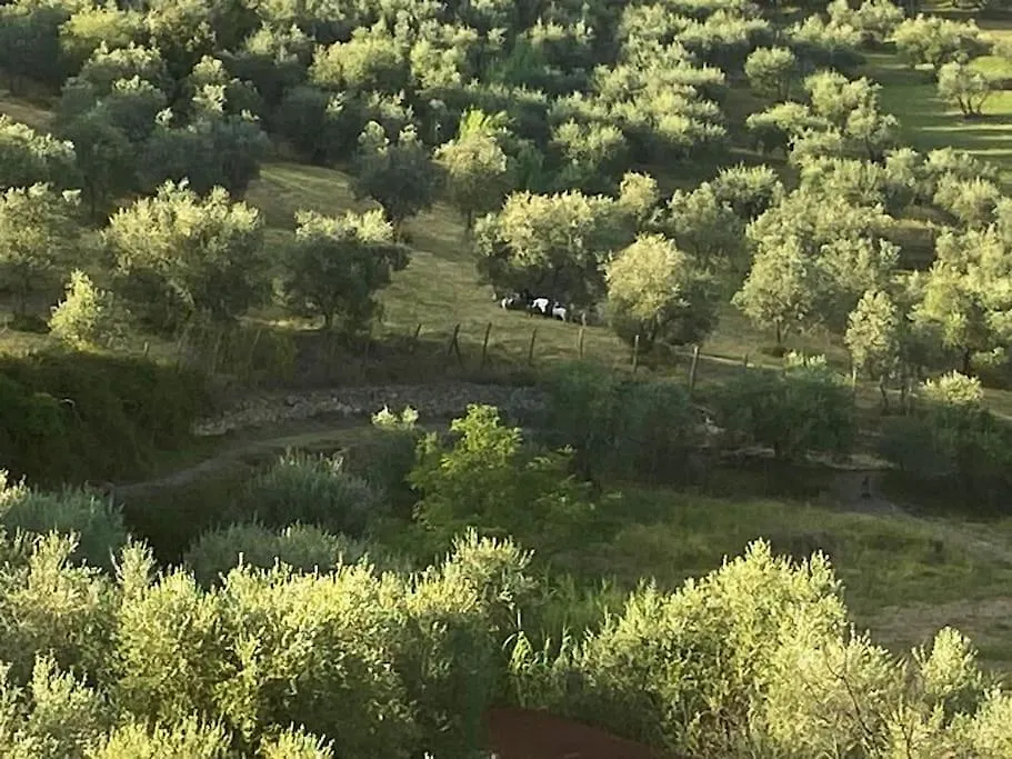 Casa Tranquilla Colonica Toscana Vicino A Firenze Seano Italy