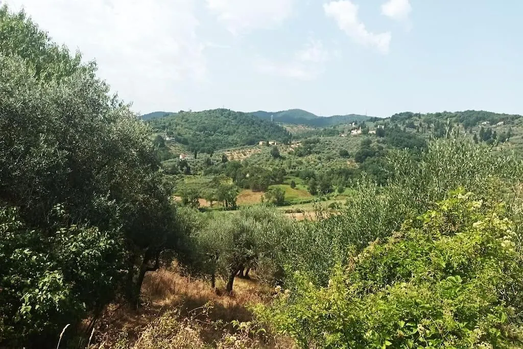 Casa Tranquilla Colonica Toscana Vicino A Firenze Seano Apartment