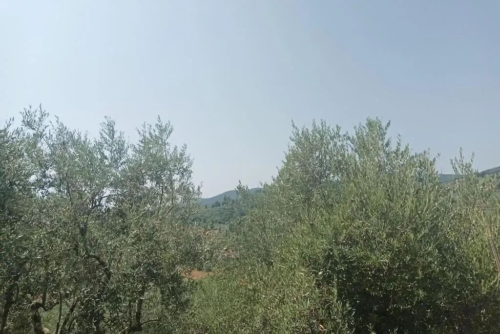 Casa Tranquilla Colonica Toscana Vicino A Firenze Seano 0*,