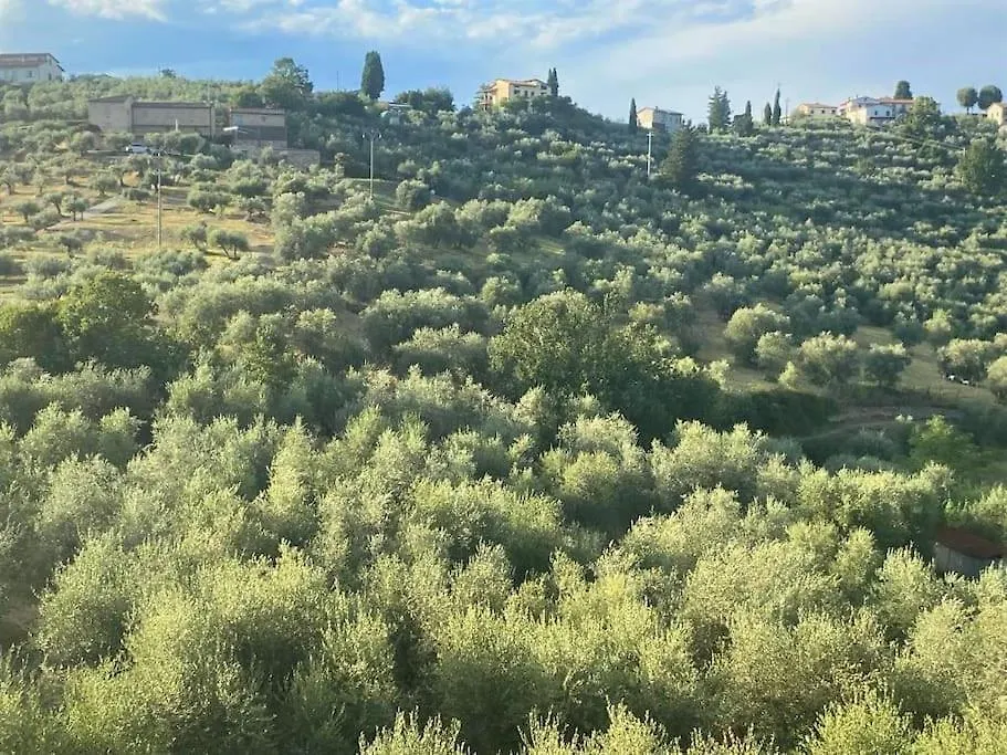 Casa Tranquilla Colonica Toscana Vicino A Firenze Seano
