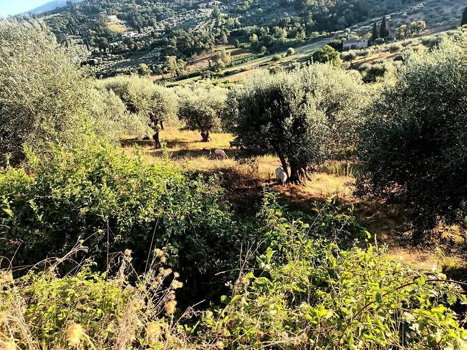 Apartment Casa Tranquilla Colonica Toscana Vicino A Firenze Seano