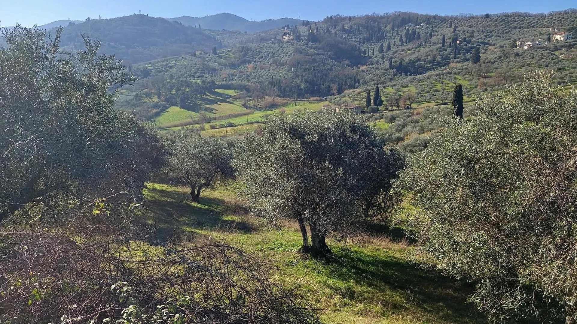 Casa Tranquilla Colonica Toscana Vicino A Firenze Seano